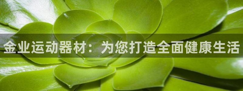 tp钱包app里浏览器不能用了吗：金业运动器材：为您