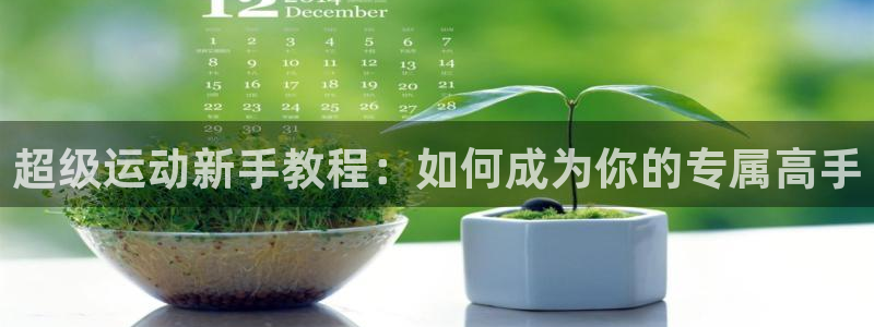 tptptptp下载安装：超级运动新手教程：如何成为